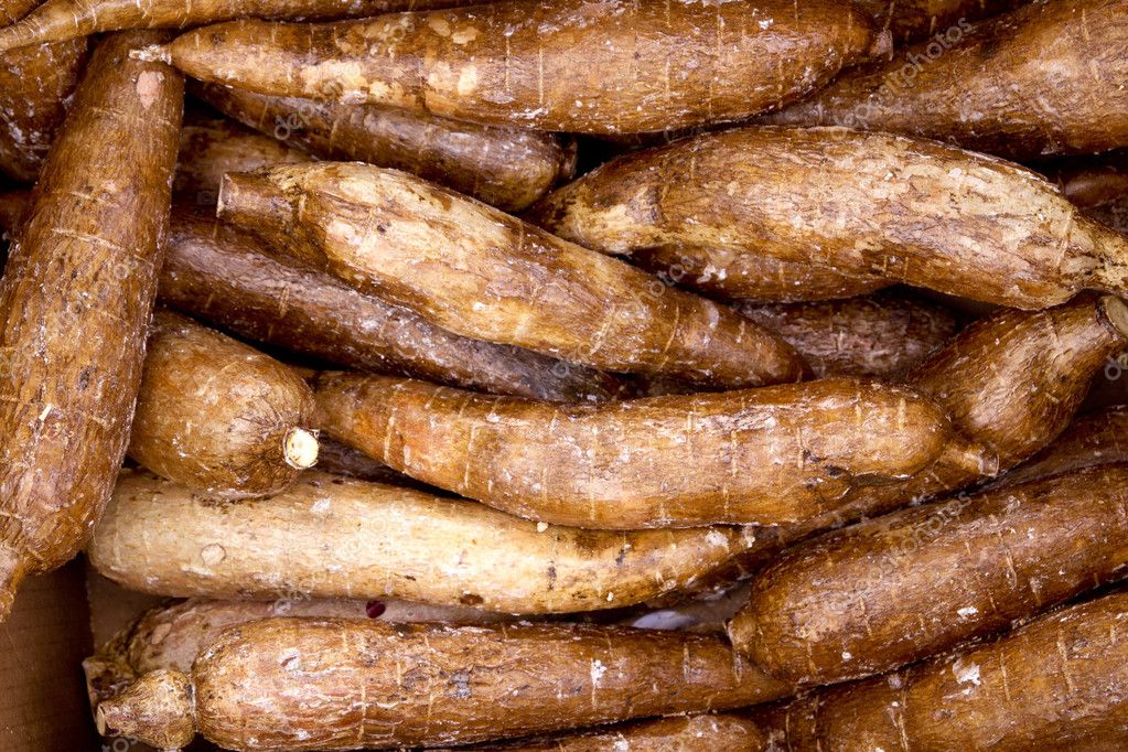 Radici di yuca fresca in un banco ortofrutta.